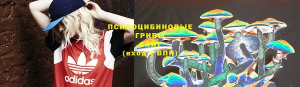 амф Балахна