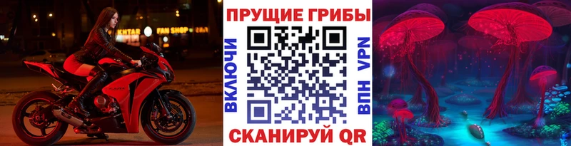 сайты даркнета как зайти  kraken маркетплейс  Петров Вал  Галлюциногенные грибы мицелий 